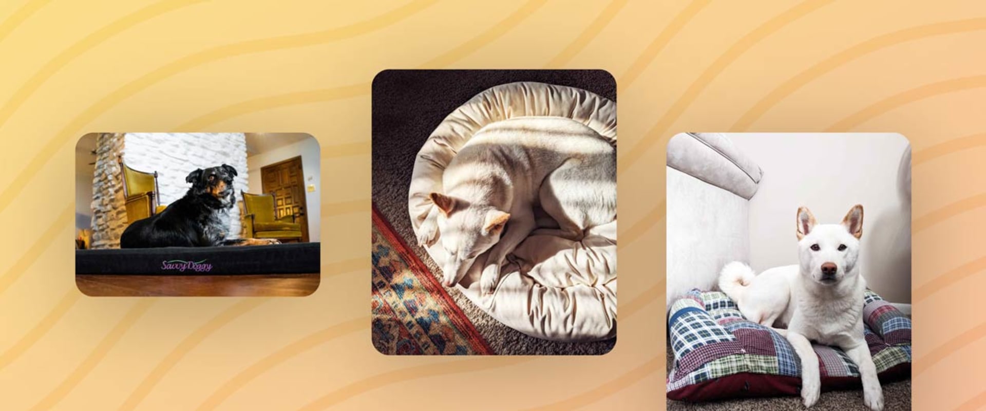 Eco-Friendly Dog Beds: A Sustainable Choice for Your Furry Friend
