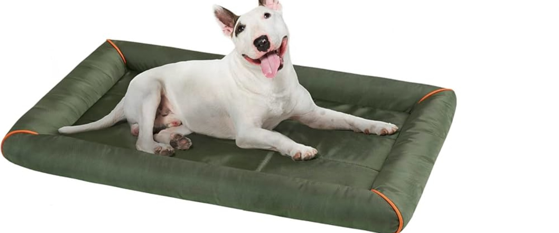 Travel-Friendly Dog Beds: A Must-Have for Your Furry Companion
