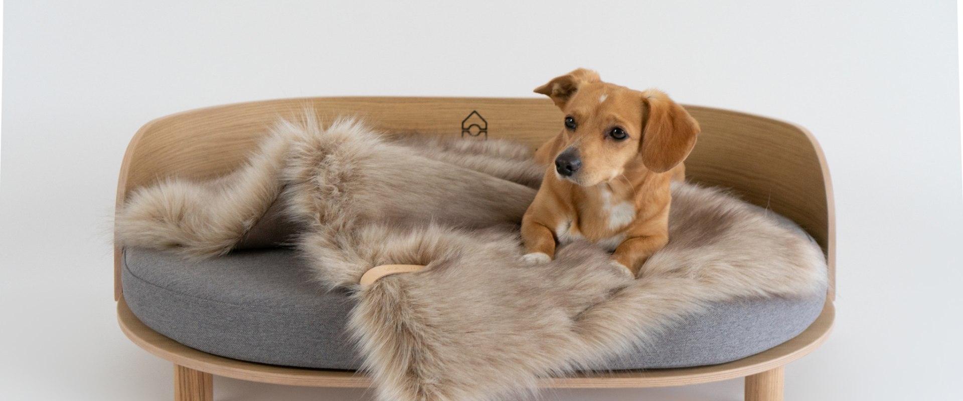 The Importance of Removable Covers for Dog Beds