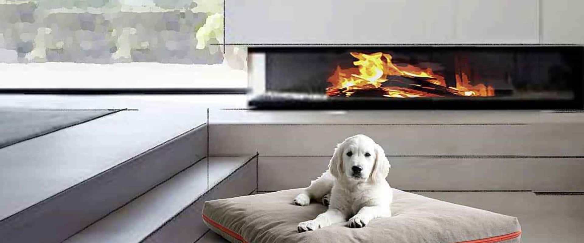 The Evolution of Pet Dog Beds: From Cushions to Designed Pet Furniture