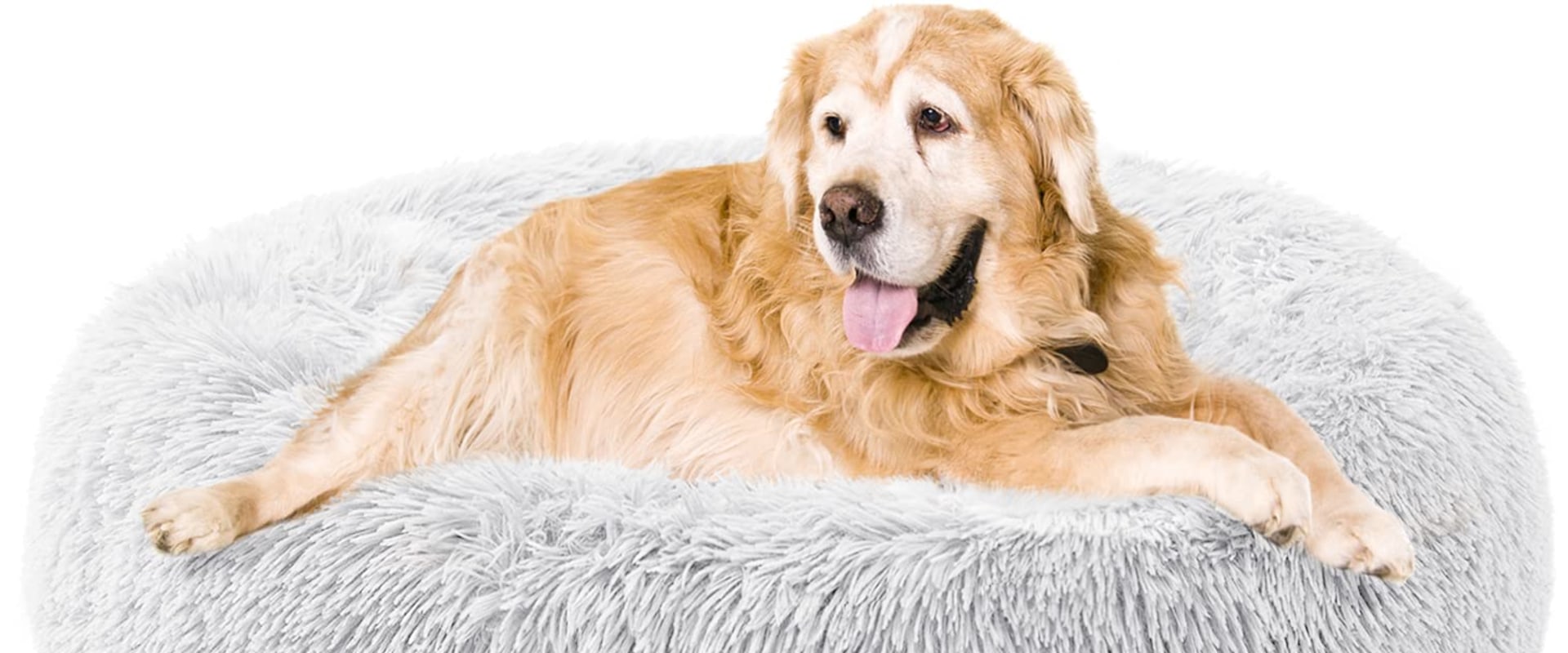 The Best Dog Beds for Heavy Shedders