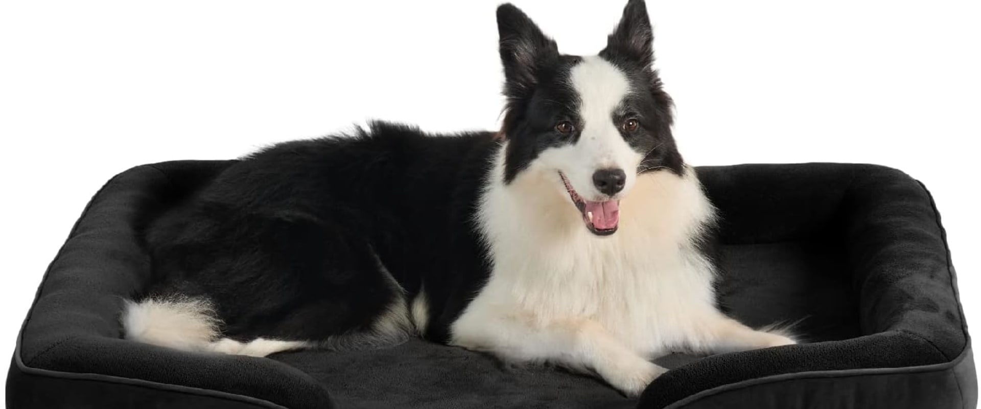 Orthopedic Dog Beds for Older Dogs: A Must-Have for Your Aging Canine Companion