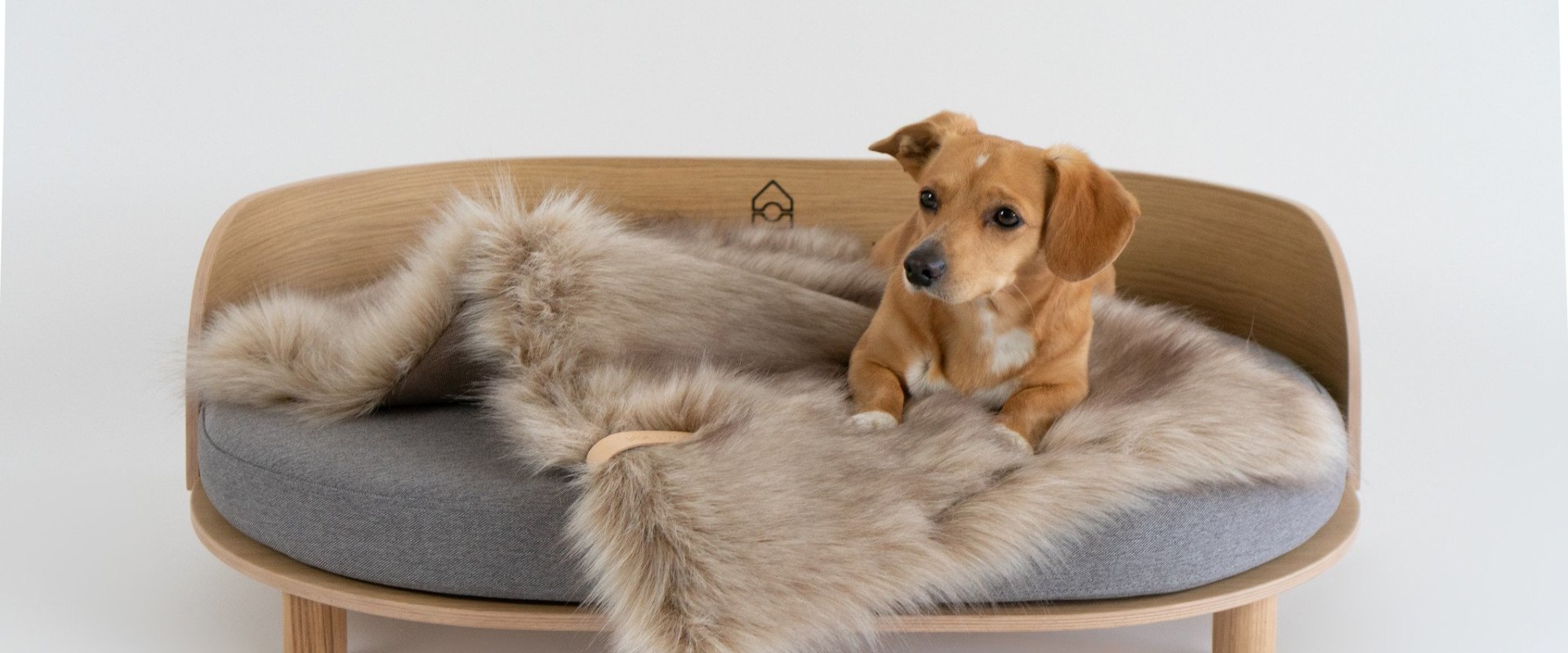 The Importance of Choosing the Right Dog Bed for Your Furry Friend