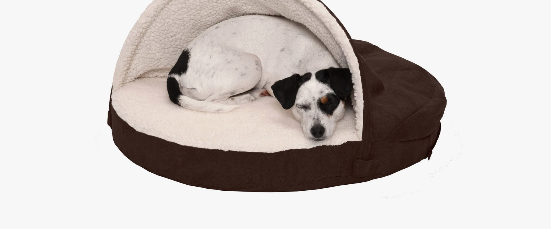 Choosing the Perfect Dog Bed for Your Puppy