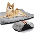 The Importance of Non-Slip Bottoms in Dog Beds