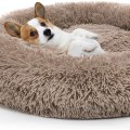 The Importance of Choosing the Right Dog Bed for Your Furry Friend