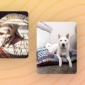 Eco-Friendly Dog Beds: A Sustainable Choice for Your Furry Friend