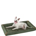 Travel-Friendly Dog Beds: A Must-Have for Your Furry Companion