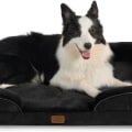 Orthopedic Dog Beds for Older Dogs: A Must-Have for Your Aging Canine Companion