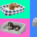 Finding the Perfect Fit: Personalized Dog Beds for Your Furry Friend