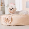 The Ultimate Guide to Choosing the Right Dog Bed