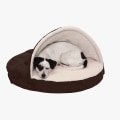 Choosing the Perfect Dog Bed for Your Puppy