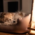 The Ultimate Guide to Dog Beds: Price Ranges and Factors to Consider