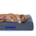 Hypoallergenic Dog Beds: A Guide for Pet Owners