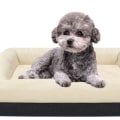 Finding the Perfect Memory Foam Dog Bed