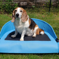 The Ultimate Guide to Dog Beds: Special Features for Hot or Cold Weather