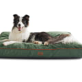 Exploring Waterproof Options for Outdoor Dog Beds