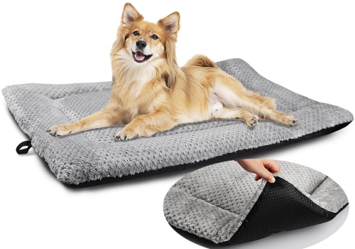 The Importance of Non-Slip Bottoms in Dog Beds