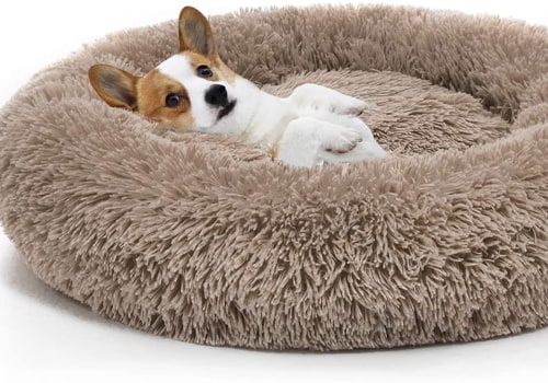 The Importance of Choosing the Right Dog Bed for Your Furry Friend