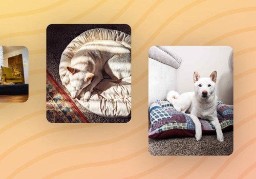 Eco-Friendly Dog Beds: A Sustainable Choice for Your Furry Friend