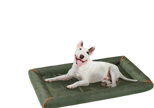 Travel-Friendly Dog Beds: A Must-Have for Your Furry Companion