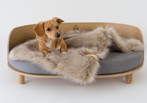 The Importance of Removable Covers for Dog Beds
