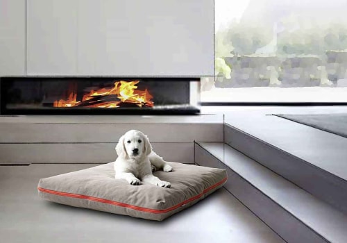 The Evolution of Pet Dog Beds: From Cushions to Designed Pet Furniture
