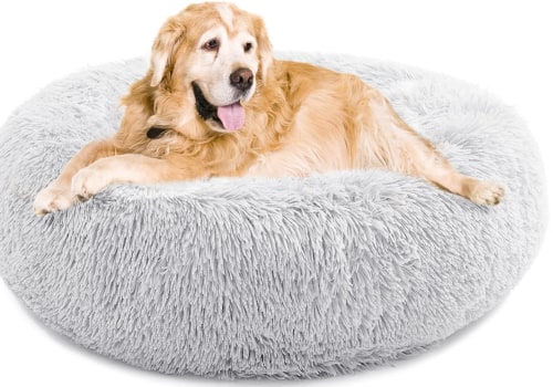 The Best Dog Beds for Heavy Shedders