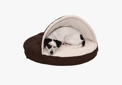 Choosing the Perfect Dog Bed for Your Puppy