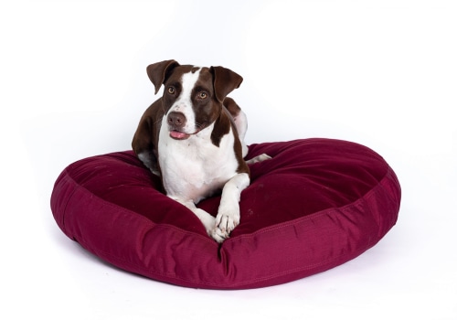 The Ultimate Guide to Odor-Resistant Dog Beds