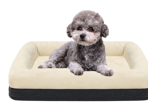 Finding the Perfect Memory Foam Dog Bed