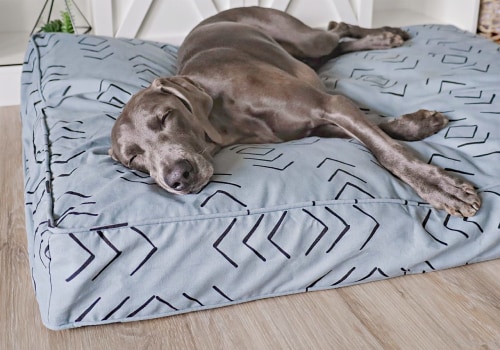 The Best Filling for Your Dog's Bed