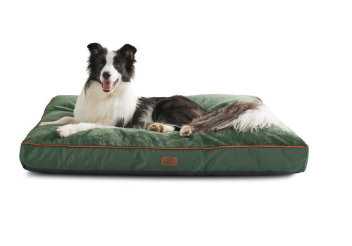 Exploring Waterproof Options for Outdoor Dog Beds